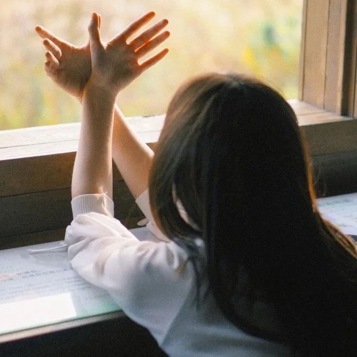 闺蜜网恋我奔现，炮灰女配要翻盘